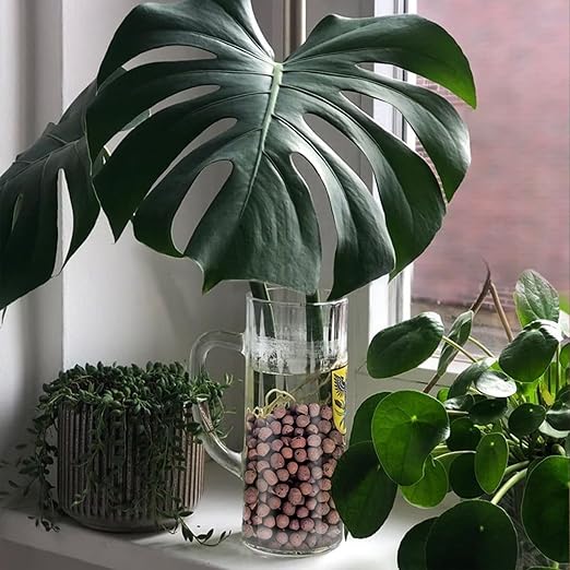 10LB Leca Clay Pebbles for Plants, Expanded Leca Balls for Indoor Plants, Orchid Potting Mix, Soil Amendment, Drainage, Easy Reusability, 4-16mm