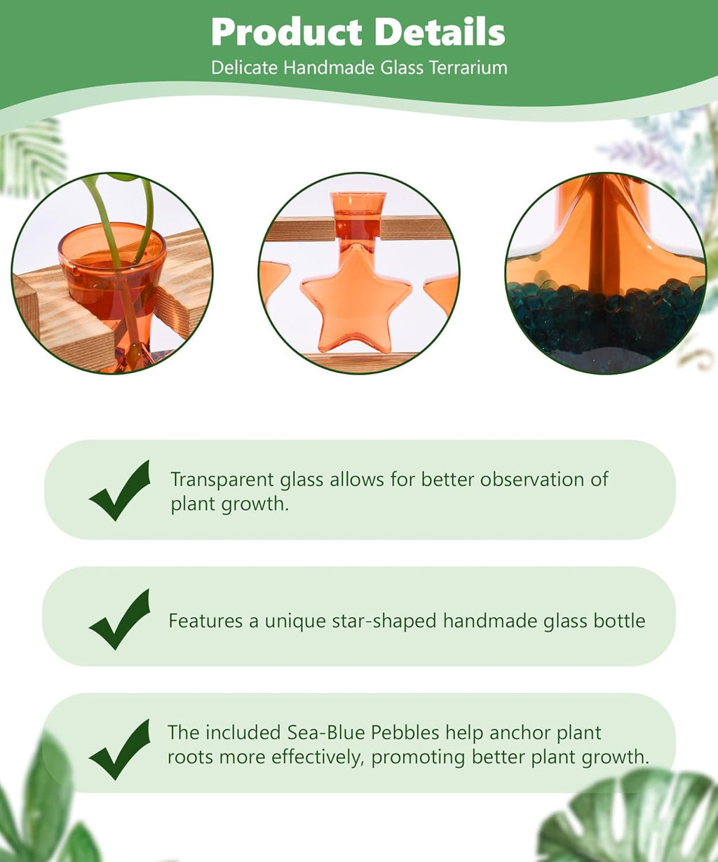 Nacome Plant Terrarium with Wooden Stand,Star-Shaped Planter Propagation Station Glass Vase for Home Office Decor- Unique Gifts for Plant Lovers Women Mom(Orange)