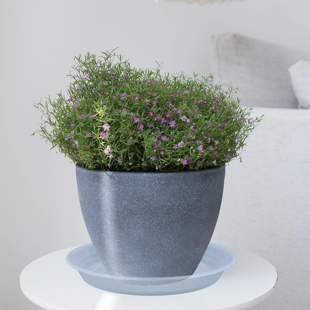 Plant Saucer Pot Tray 10 inch, 2 Packs Clear Plastic Flower Planter Saucers and Drip Trays for Indoors, Heavy Duty Plant Drip Trays Saucers, Plant Plate Water Catcher