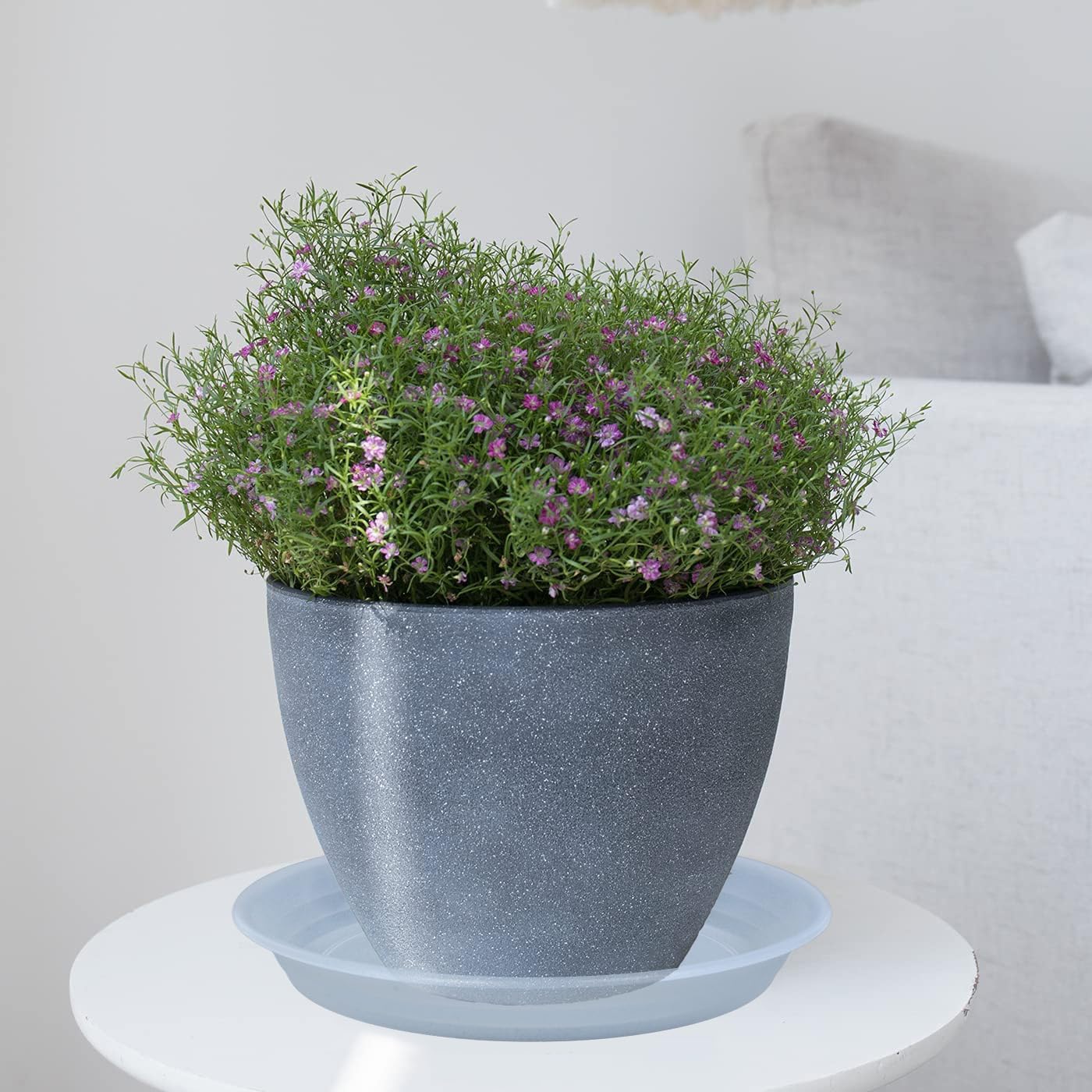 Plant Saucer Pot Tray 10 inch, 2 Packs Clear Plastic Flower Planter Saucers and Drip Trays for Indoors, Heavy Duty Plant Drip Trays Saucers, Plant Plate Water Catcher