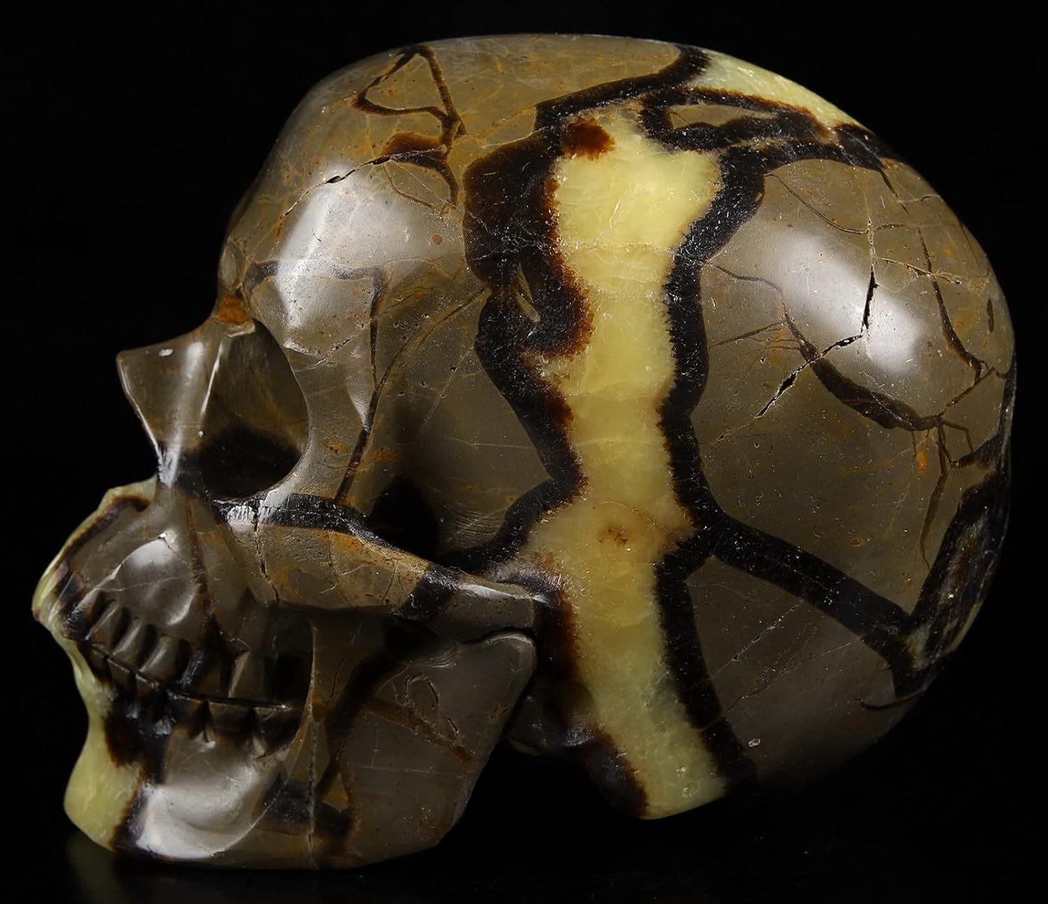 Skullis 5.0" Dragon Septarian Stone Hand Carved Crystal Skull, Super Realistic, Crystal Healing, Hand Carved Gemstone Fine Art Sculpture, Reiki Healing Stone Statue.1133 Z8