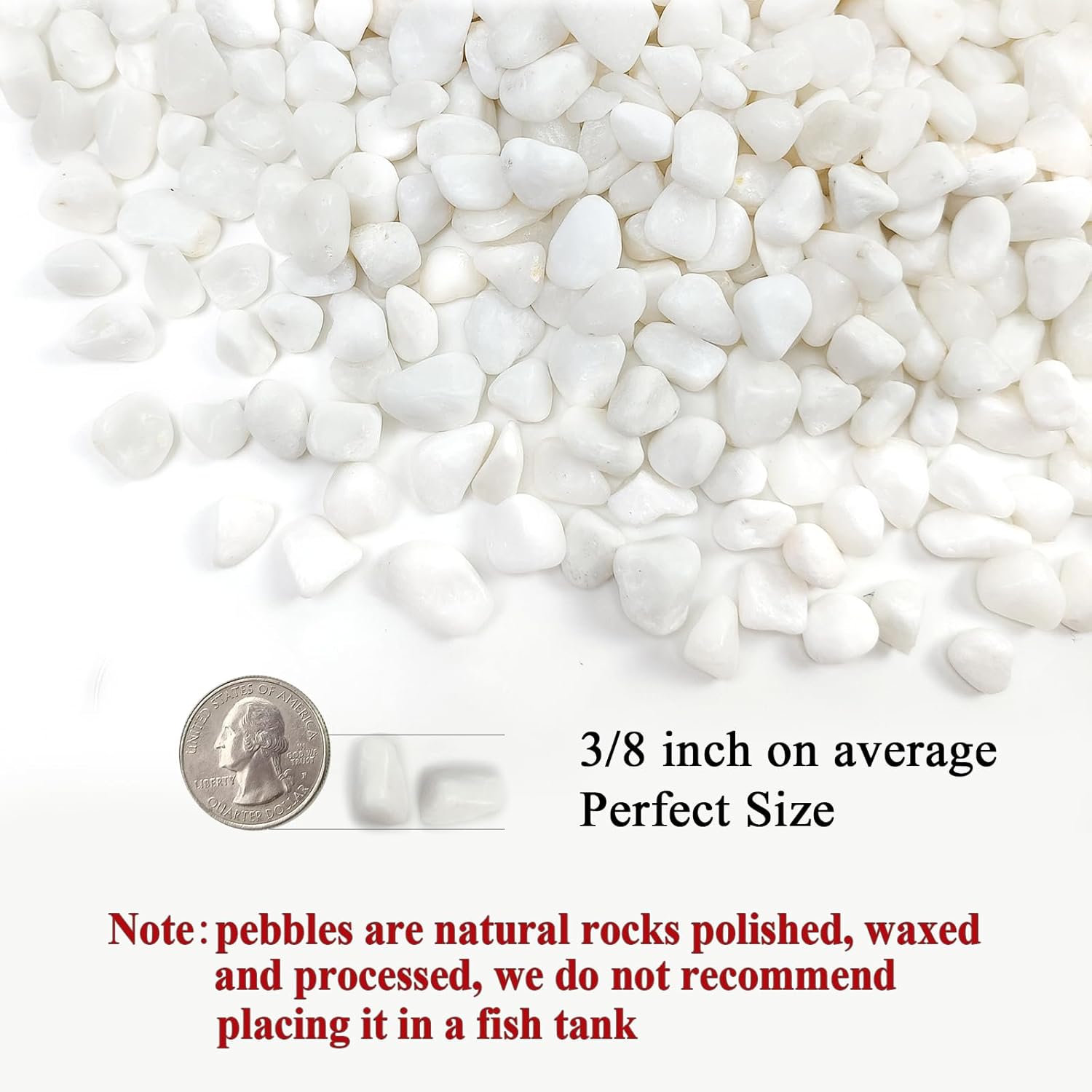 10 lbs White Pebbles for Indoor Plants, 3/8 Inch Decorative White Stones. Polished River Rocks for Potted Plants Vase Cactus Bird Bath and Outdoor Garden Landscaping