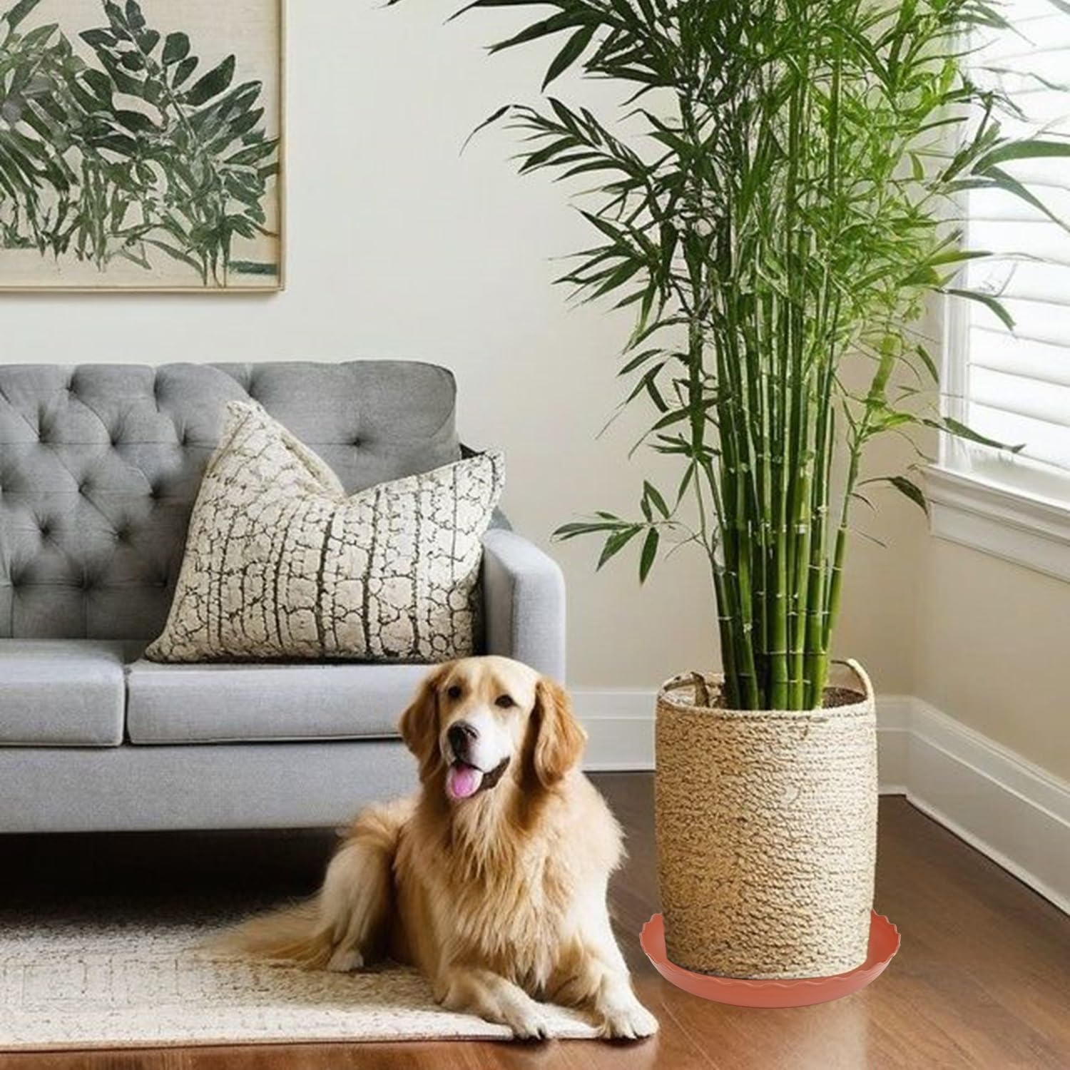 6 Pack Plant Saucer 8 inch, Heavy Duty Plastic Plant Water Tray, Planter Saucers, Flower Pot Tray Water Trays for Plant Pots (Terracotta)