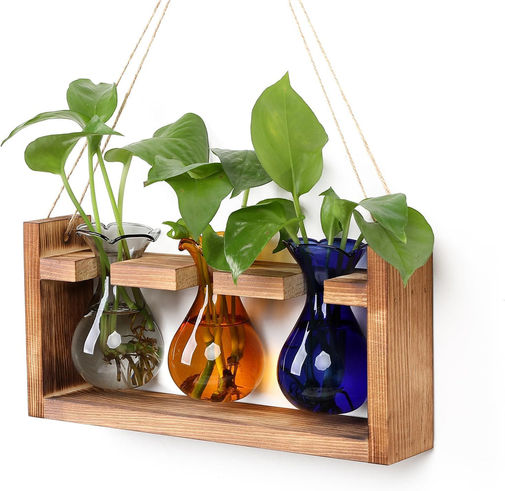 Plant Propagation Station Plant Terrarium Unique Birthday Gifts for Women Home Office Decor Planter with Wooden Stand - 3 Bulb Glass Vase