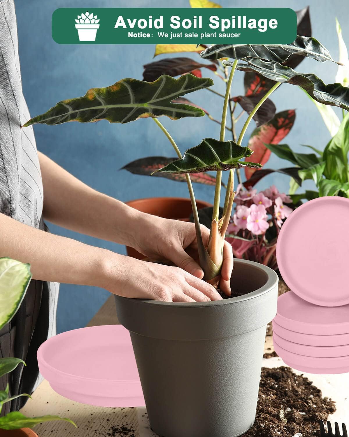 vensovo 8 Inch Pink Terracotta Plant Saucer - 4Pcs Middle Round Saucers, Great for Indoor or Outdoor Use