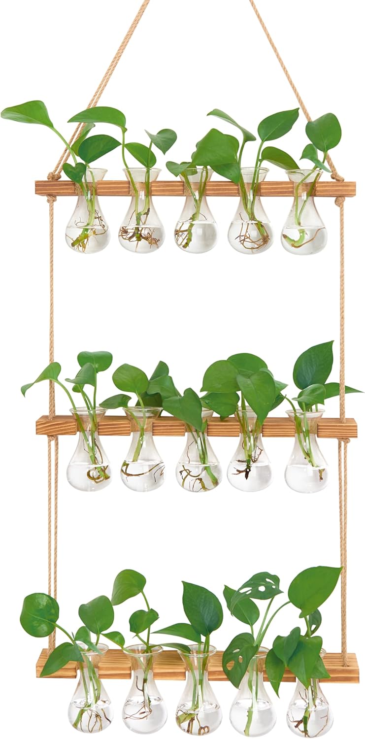 XXXFLOWER Wall Hanging Propagation Station with Wooden Stand 5 Bulb Vase 3 Tiered Planters Wall Terrarium for Home Office Plant Hanger Flower Vases Wall Decor