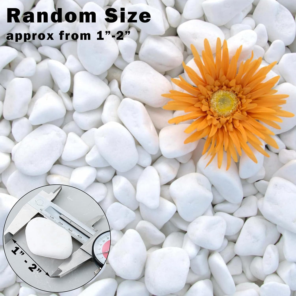 11Lbs Natural River Rocks for Plants 1''-2'' Large Landscaping Garden Stones White Aquarium Gravel for Decorative Pebbles for Indoor Outdoor Planters, Big Terrarium Rocks in Bulk, Home Decor