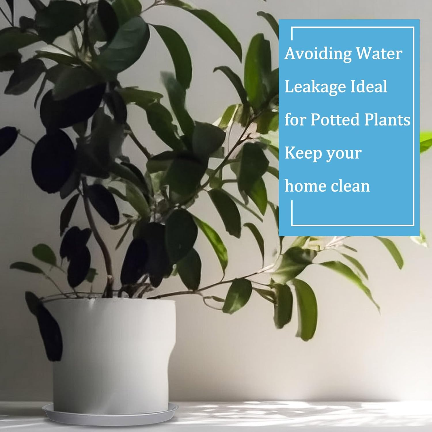 Eccliy 6 Pack Plastic Plant Saucer Heavy Duty Planter Saucers Large Plant Pot Saucers Plastic Water Trays for Indoors and Outdoors Flower Plant Plant Drip (White,16 Inch)