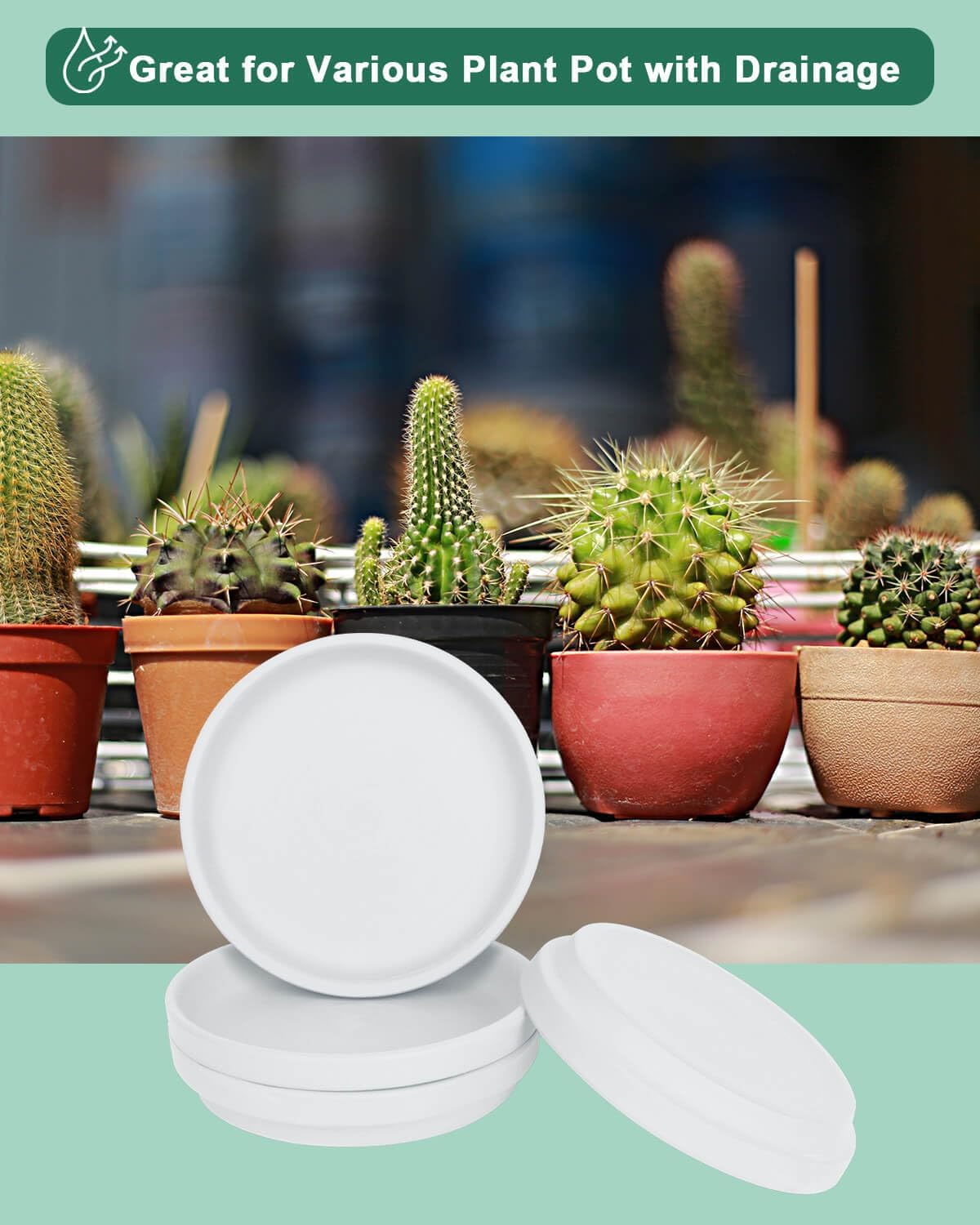 vensovo 4 Inch White Terracotta Plant Saucer Pots Tray - 6 Pcs Round Planter Saucers for Indoor & Outdoor Plants, Small Clay Trays Perfect for 3 Inch 3.5 Inch 4 Inch Flower Pot