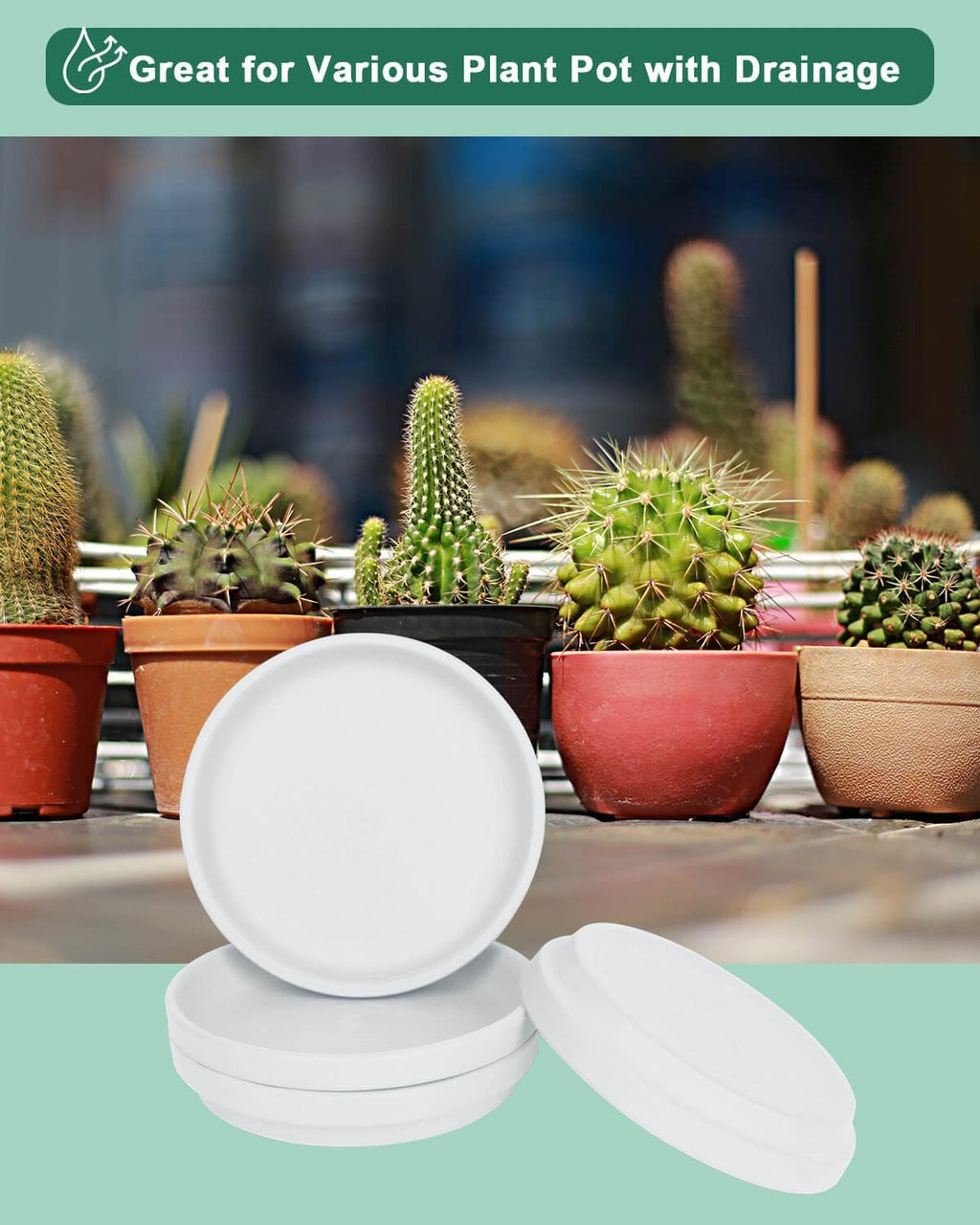 vensovo 8 Inch White Terracotta Plant Saucer Pots Tray - 4 Pcs Round Planter Saucers for Indoor & Outdoor Plants, Large Clay Trays Perfect for 7 Inch 7.5 Inch 8 Inch Flower Pot