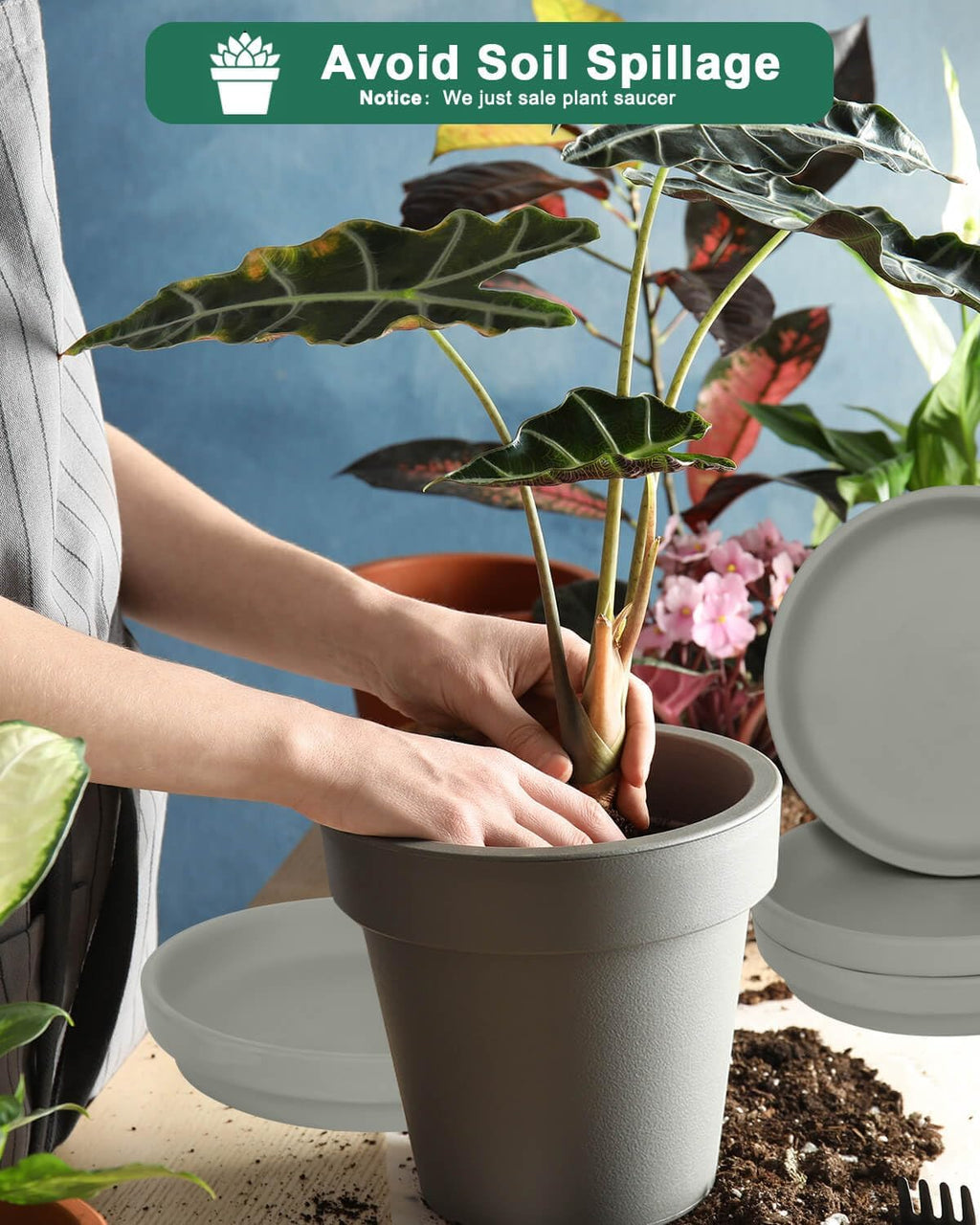 vensovo 8 Inch Grey Terracotta Plant Saucer Pots Tray - 4 Pcs Round Planter Saucers for Indoor & Outdoor Plants, Large Clay Trays Perfect for 7 Inch 7.5 Inch 8 Inch Flower Pot