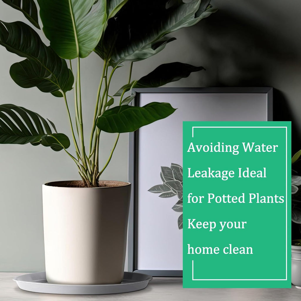 Eccliy 6 Pack Plastic Plant Saucer Heavy Duty Planter Saucers Large Plant Pot Saucers Plastic Water Trays for Indoors and Outdoors Flower Plant Plant Drip (White,25 Inch)