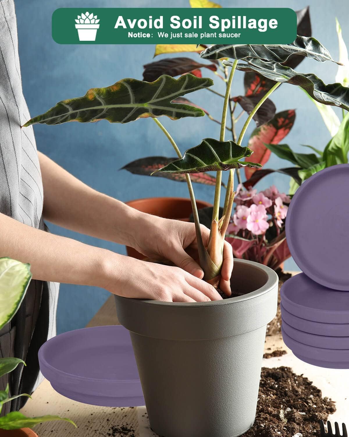 vensovo 8 Inch Purple Terracotta Plant Saucer Pots Tray - 4 Pcs Round Planter Saucers for Indoor & Outdoor Plants, Large Clay Trays Perfect for 7 Inch 7.5 Inch 8 Inch Flower Pot