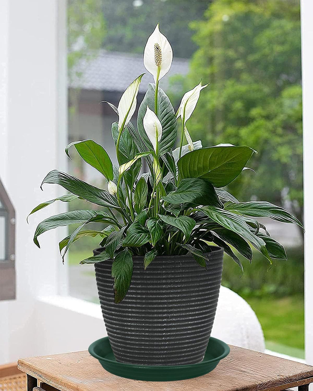 2 Pack Plant Saucer Drip Tray 11 12 inch, Pot Base for Plants Indoor, Plastic Flower Planter Saucers and Drip Trays for Outdoors, Heavy Durable Plant Plate Water Catcher (12", Dark Green)