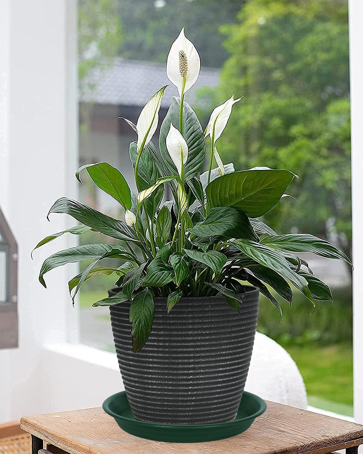 2 Pack Plant Saucer Drip Tray 9 10 inch, Plant Dishes Saucer Plastic Flower Planter Saucers and Drip Trays for Indoors Outdoors, Heavy Durable Plant Plate Water Catcher (10", Dark Green)