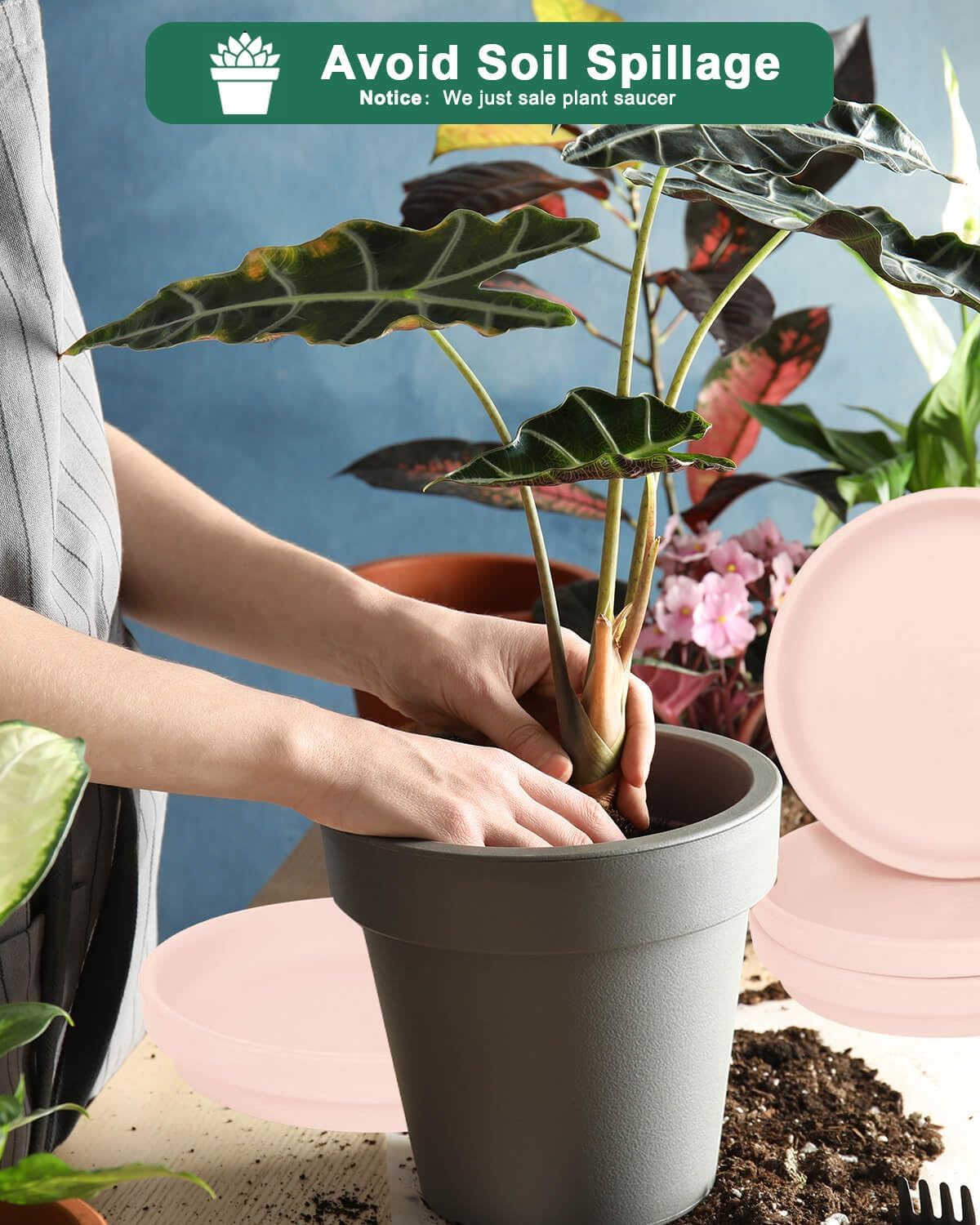 vensovo 8 Inch Pink Terracotta Plant Saucer Pots Tray - 4 Pcs Round Planter Saucers for Indoor & Outdoor Plants, Large Clay Trays Perfect for 7 Inch 7.5 Inch 8 Inch Flower Pot