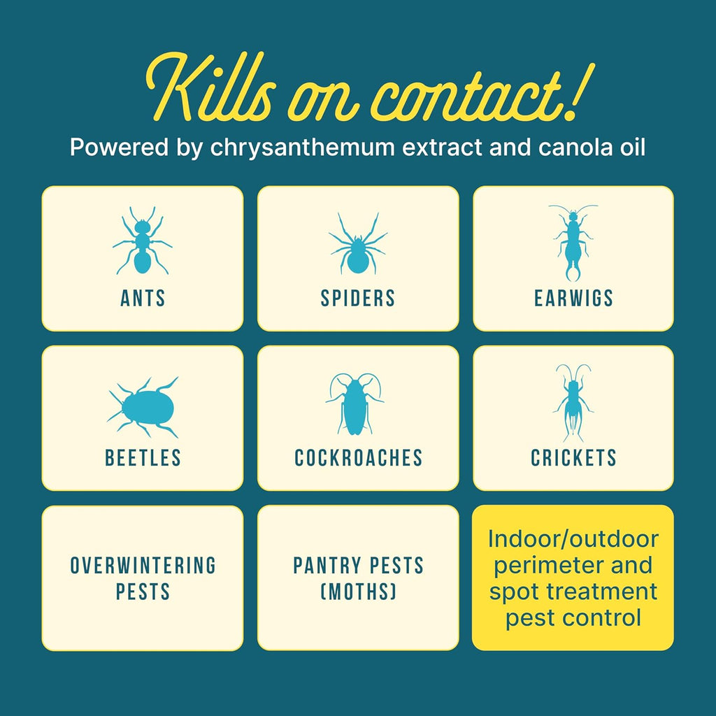 Sunday Bug Doom Home Insect Barrier Spray - Indoor Insect Spray with Botanically Derived Pyrethrin - Kills Ants, Spiders, Cockroaches & More - 16 Fl Oz