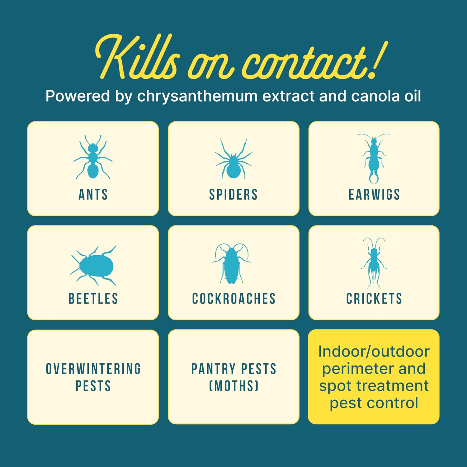 Sunday Bug Doom Home Insect Barrier Spray - Indoor Insect Spray with Botanically Derived Pyrethrin - Kills Ants, Spiders, Cockroaches & More - 16 Fl Oz