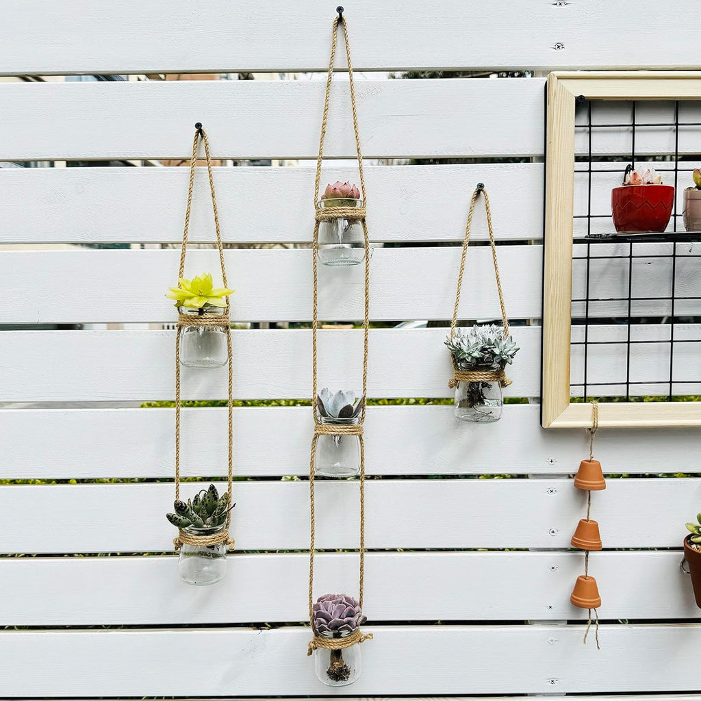 3pcs Glass Flower Vase for Hydroponic Planter Terrarium，Wall Hanging Propagation Station for Plant Cutting Home Office Living Room Garden Decor (Round)