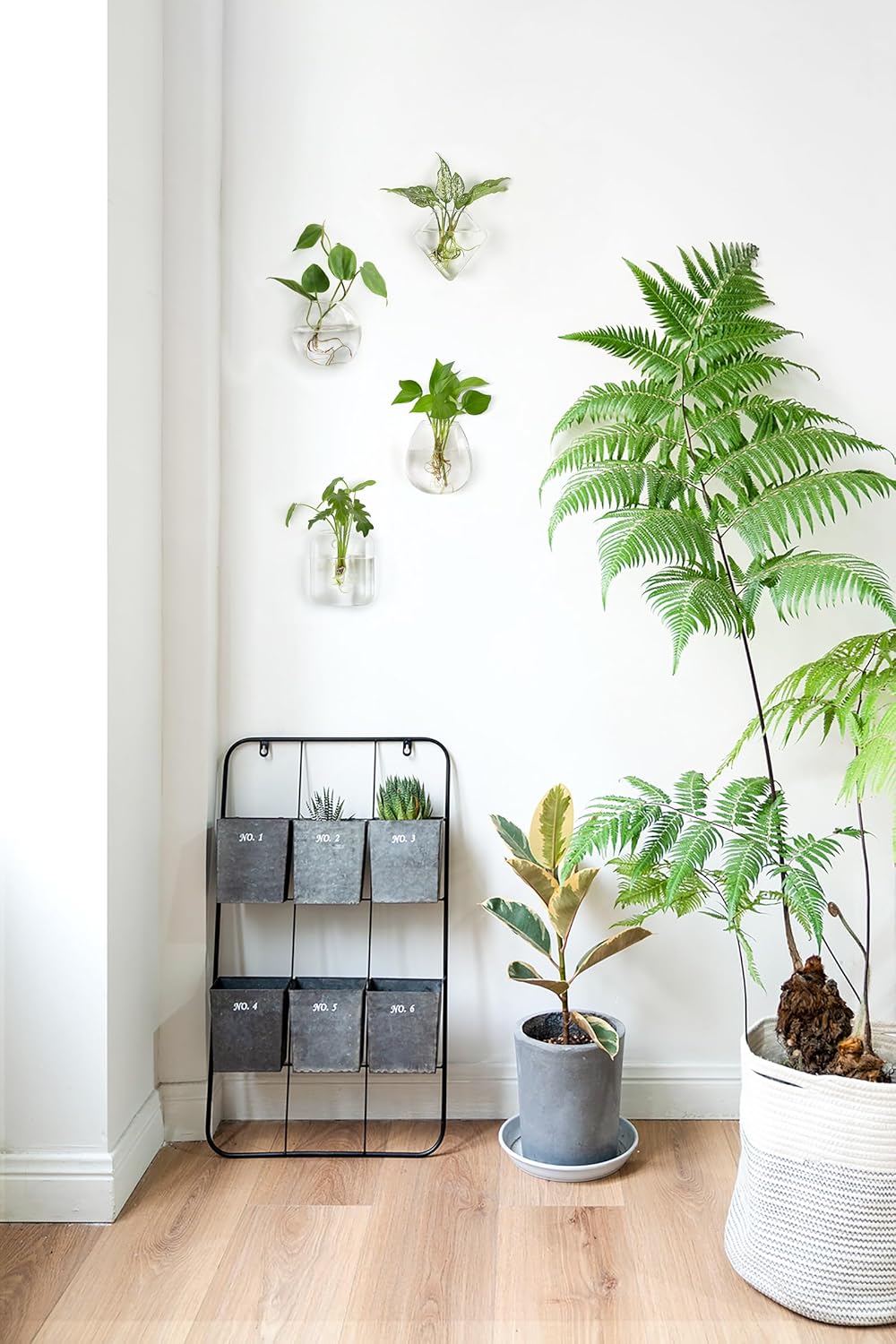 Mkono Propagation Wall Hanging Planter Glass Terrarium Flower Vases Holder for Indoor Plants, Home Living Room Office Decor Plant Lover Gifts, Set of 4