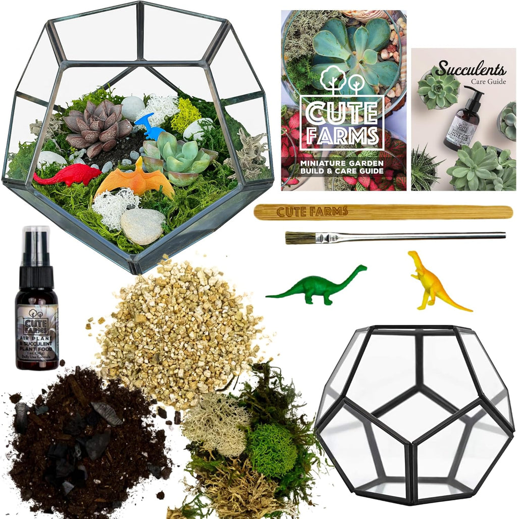 Cute Farms Glass Terrarium Kit | Just Add Your Own Plants (Geometric Glass)