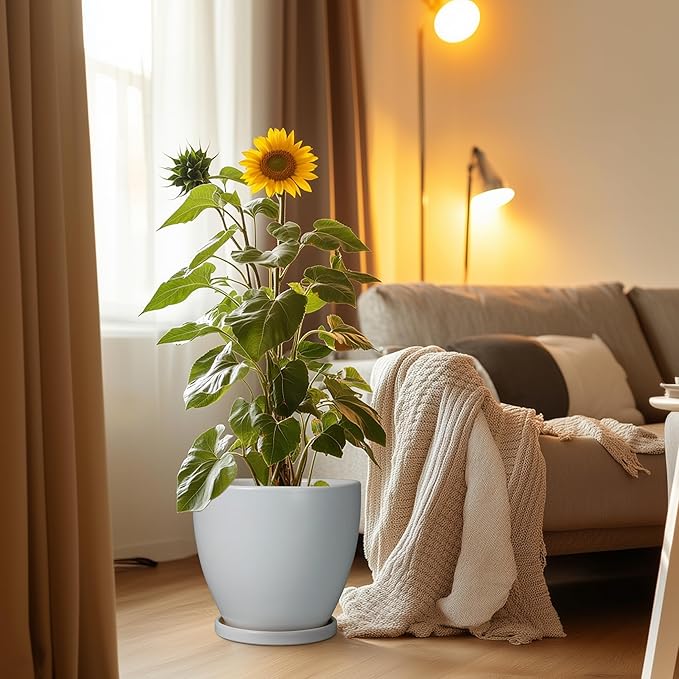 10 Inch Planter - Ceramic Pots for Plants, Planters with Drainage Hole and Tray, Modern Flower Pots Indoor, Home Living Room Patio Porch Garden Office Decor, Gray