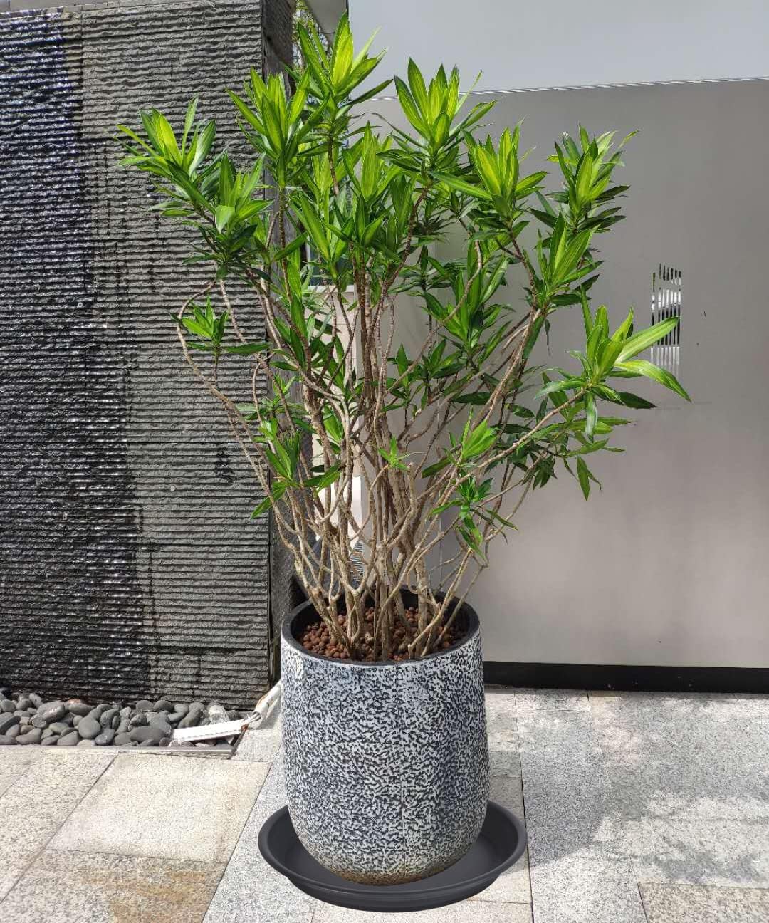 4 Pack Plant Saucer Drip Tray 13 14 inch, Large Plastic Flower Planter Saucers and Drip Trays for Indoors Outdoors, Heavy Durable Plant Plate Water Catcher (14", Black)