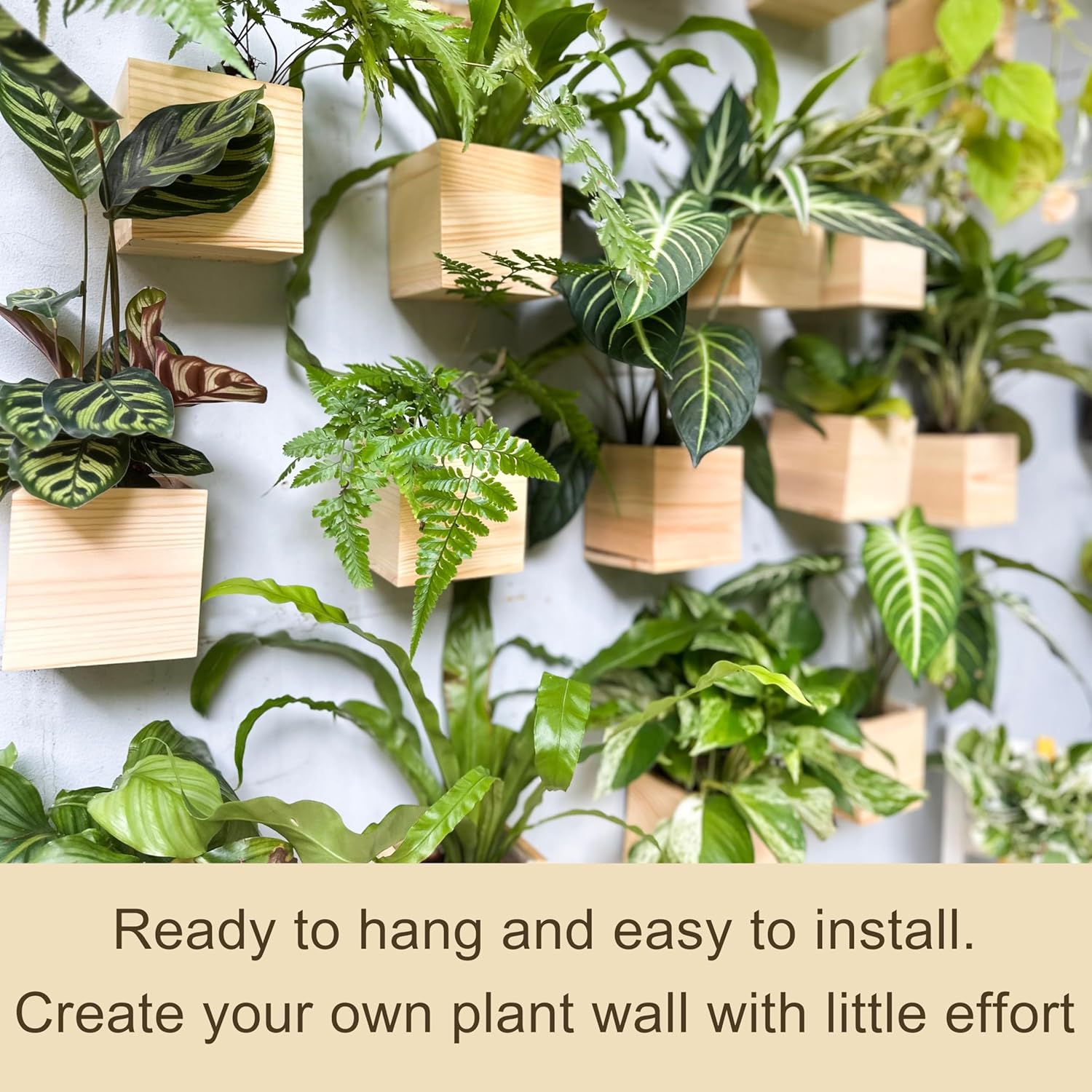 LaLaGreen Wooden Planter Box for Plants (4x4 Inch, 8 Pack) Small Square Wall Planters for Indoor Plant, Natural Wood Hanging Flower Pot Boxes Table Centerpiece Herb Balcony Home Garden Office Decor