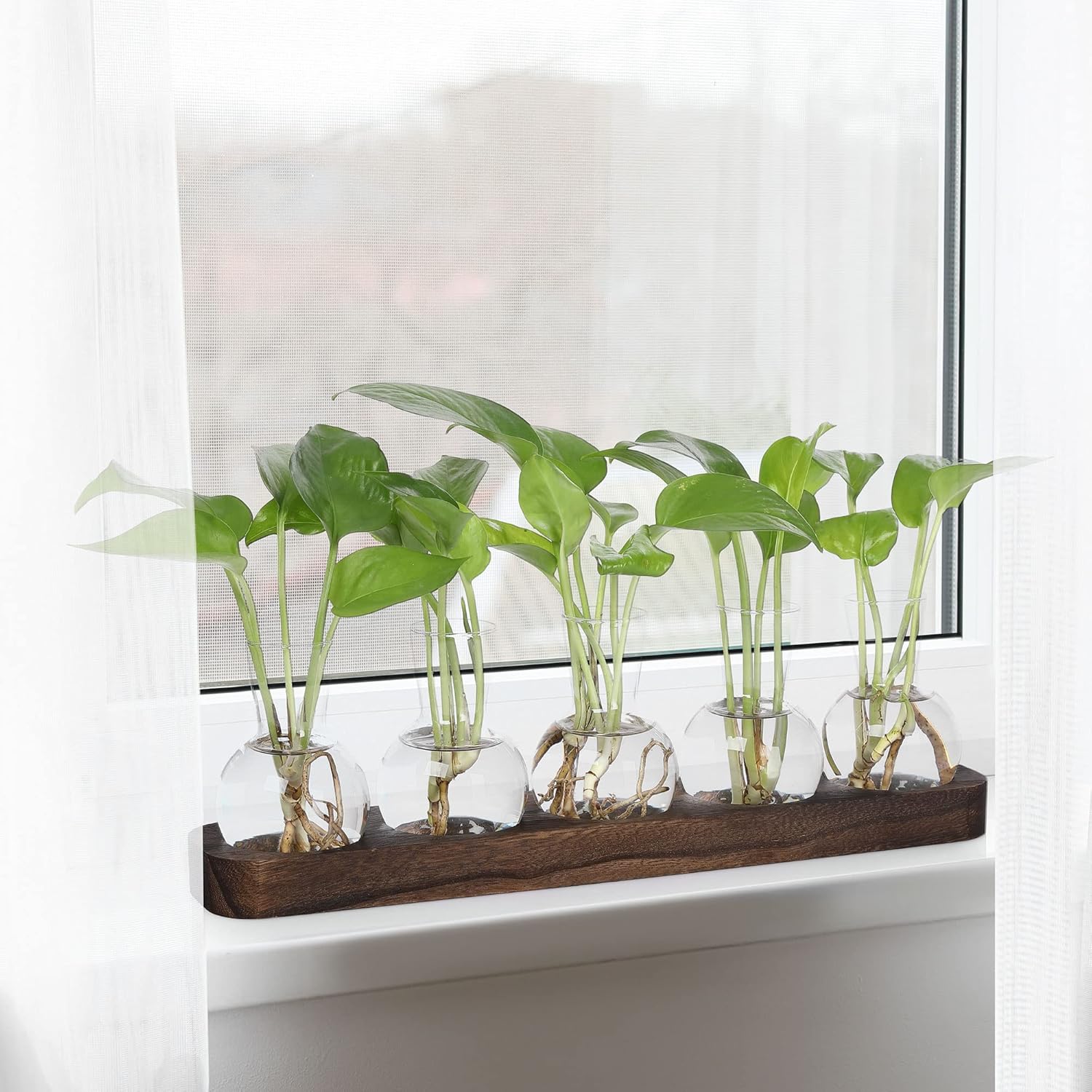 YIBOT Plant Propagation Stations,Glass Propagation Vases for Plants Terrarium with Wooden Tray Plant Lover Gifts for Propagating Hydroponic Plants Home Office Decor(5 Vase)