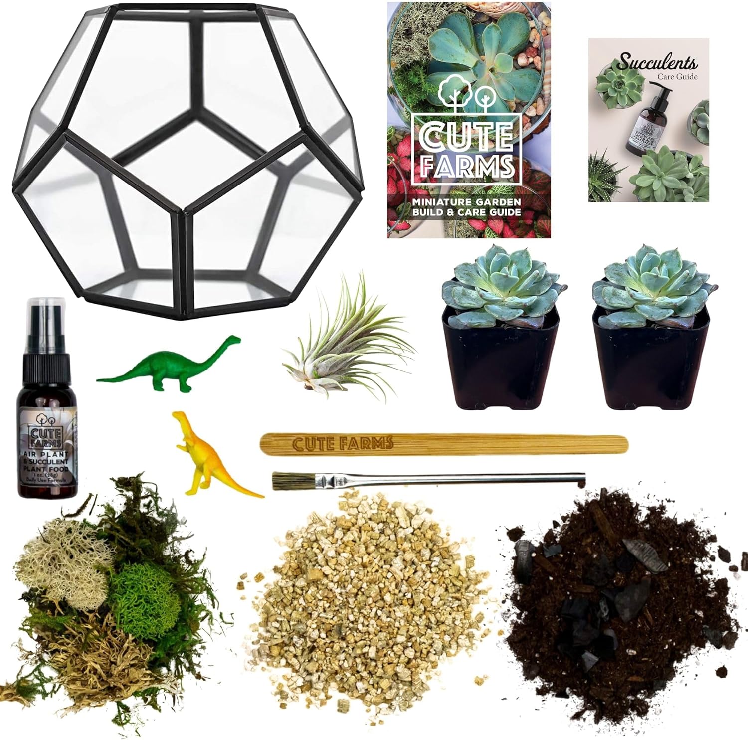 Cute Farms Glass Terrarium Kit | Just Add Your Own Plants (Geometric Glass + Live Plants)