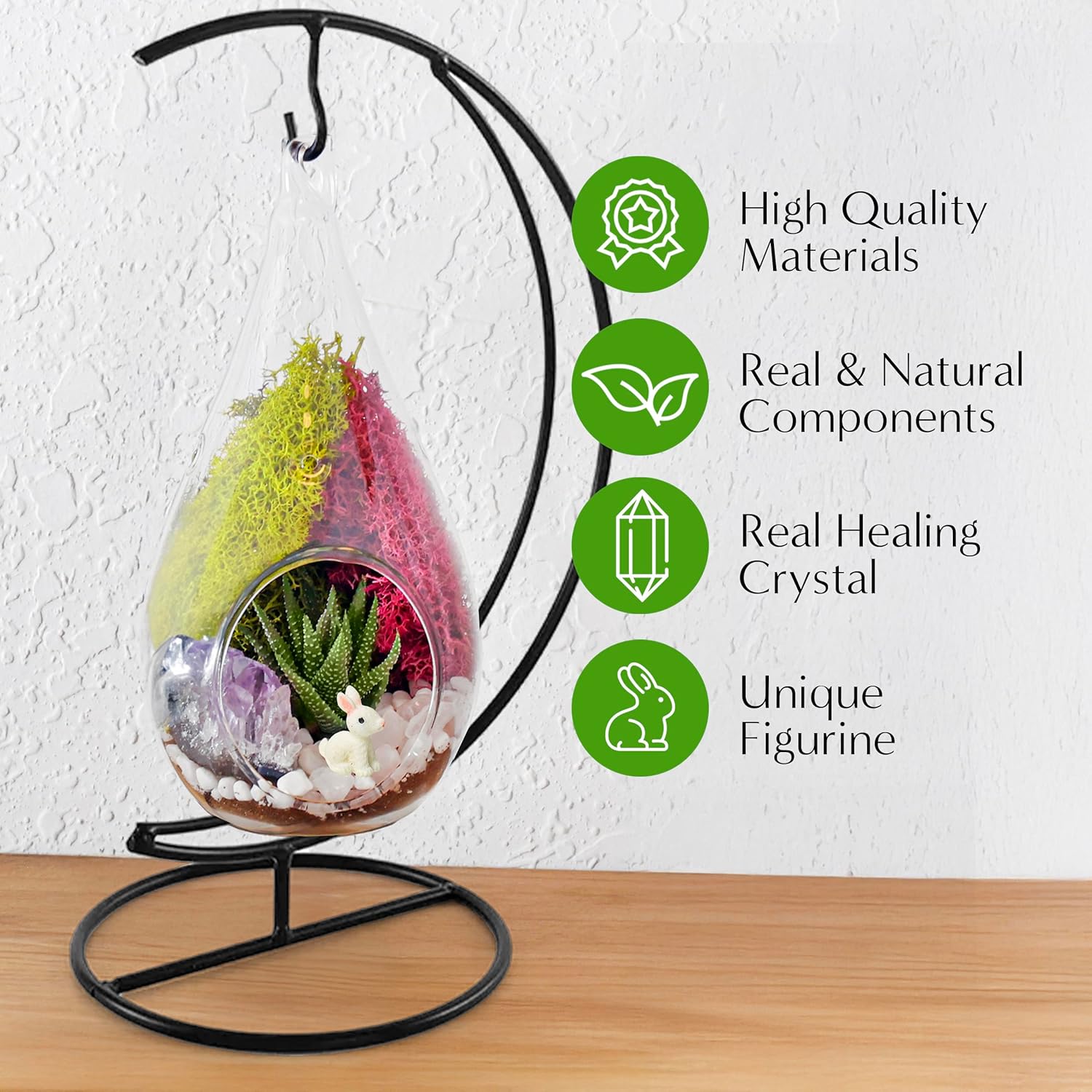 7" Teardrop Glass Succulent Terrarium Kit for Kids and Adults, Reindeer Moss, Crystal & Rocks, Tools, Figurine, Metal Hanger (Live Plant Included)