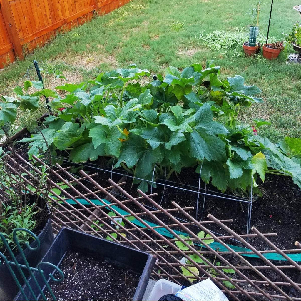 Expandable Garden Trellis Plant Support Willow Lattice Fence Panel for Climbing Plants Vine Ivy Rose Cucumbers Clematis 36X92 Inch