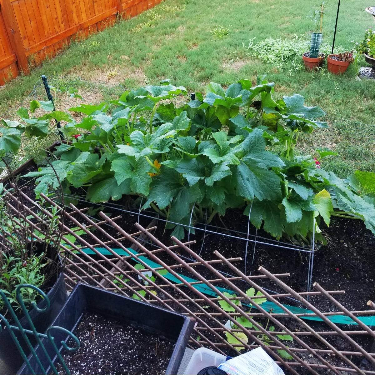 Expandable Garden Trellis Plant Support Willow Lattice Fence Panel for Climbing Plants Vine Ivy Rose Cucumbers Clematis 36X92 Inch