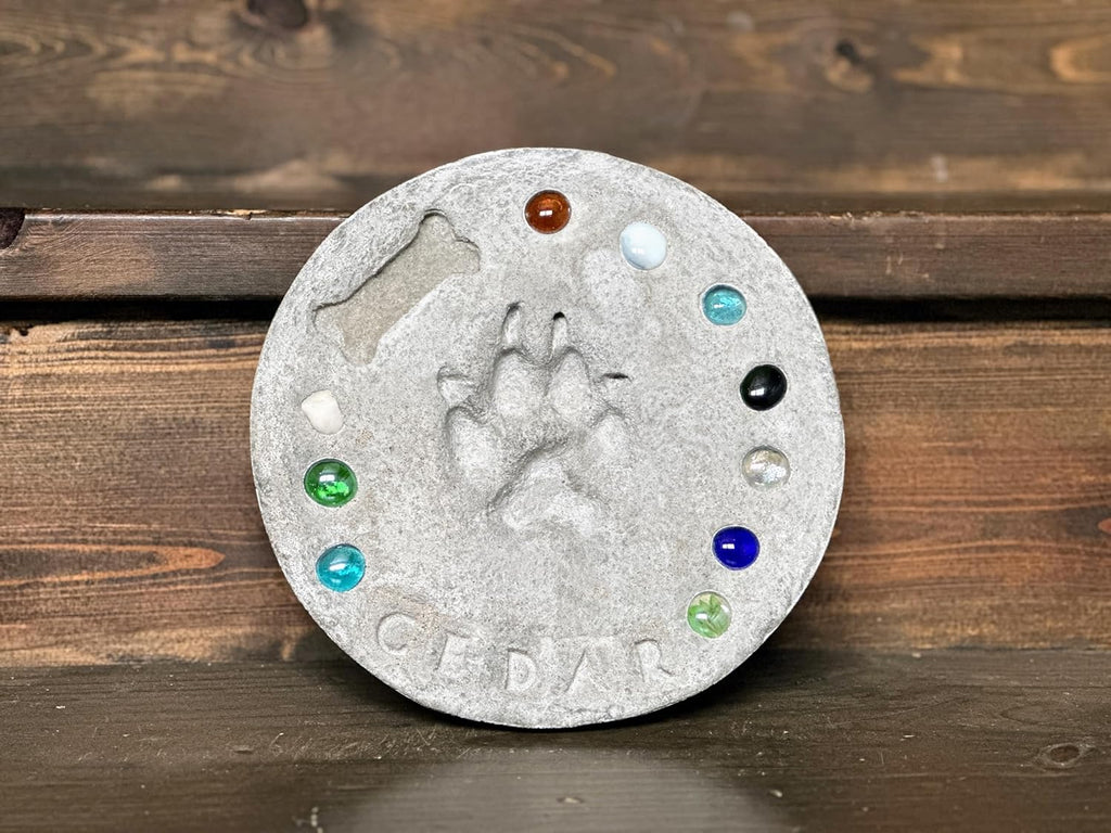 DIY Paw Print Stepping Stone Kit, Pet Memorial Stone, Pet Garden Stone (10 Inch)