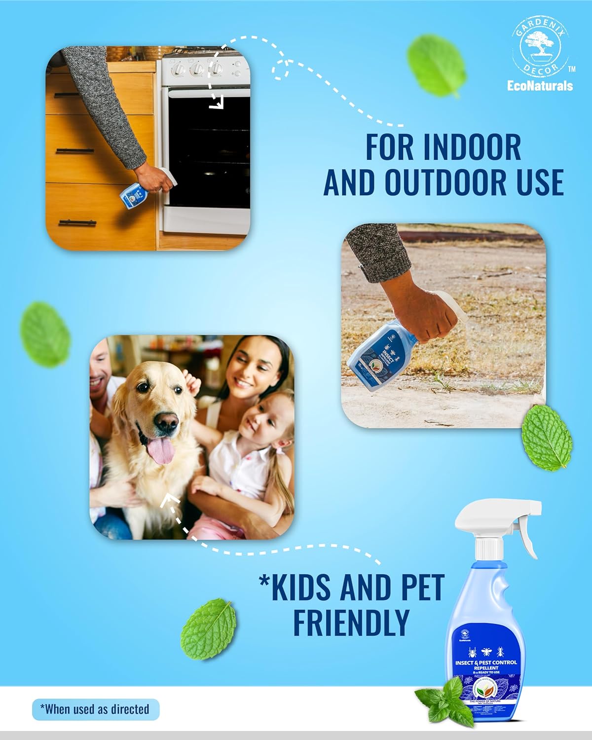 All Natural Bug Spray for Home - Non-Toxic Peppermint Oil Insect and Pest Control Kit - 8 oz Ready-to-Use Bug Spray - Indoor and Outdoor Protection- Ant Spray - Spider Repellent Indoor