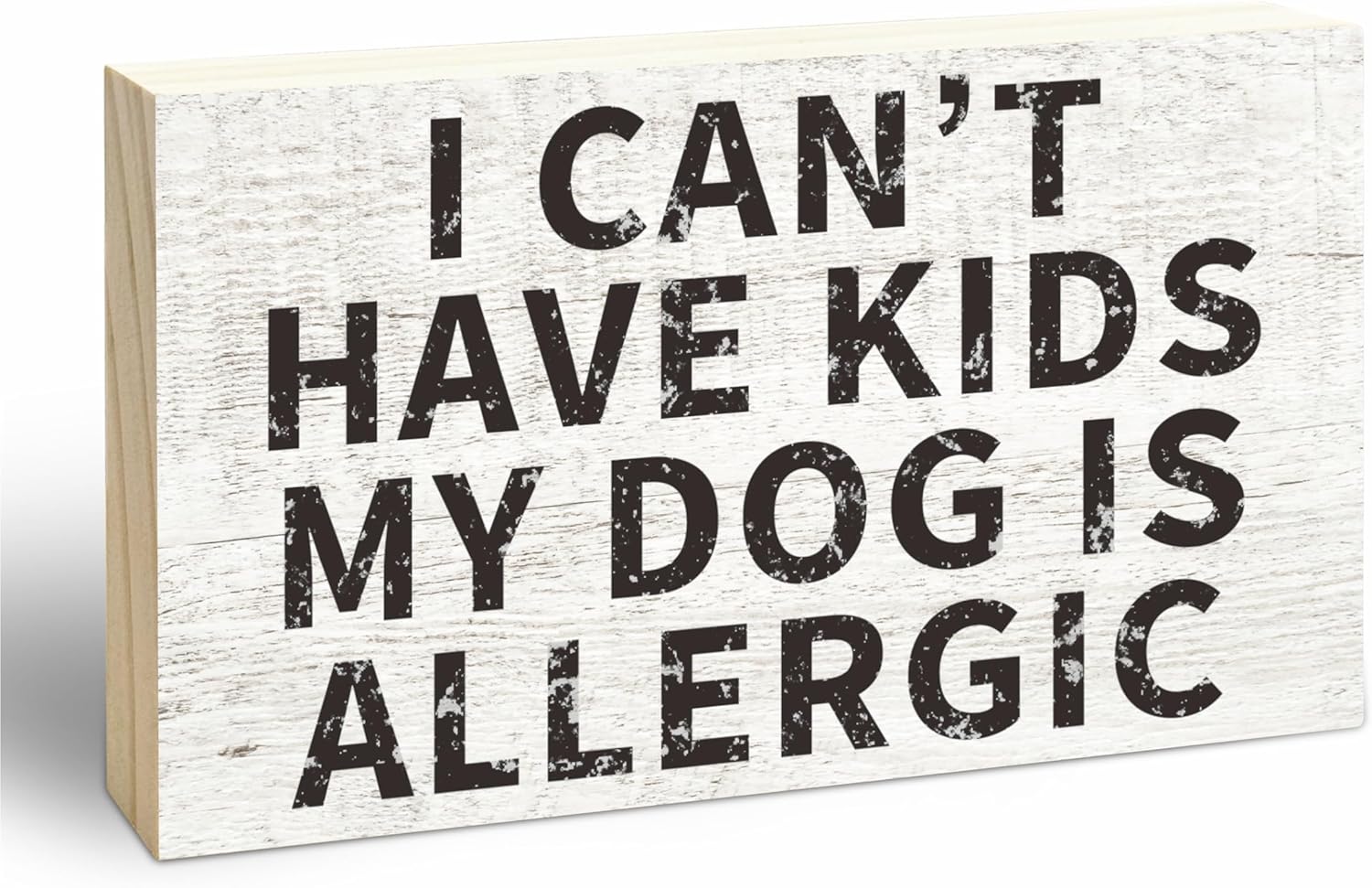 Rustic Wooden Block Sign - I Can't Have Kids My Dog Is Allergic - 5"X3" Pine Wood Plaque, Home & Garden Decor, Housewarming Gift For Friends, Desk & Tabletop, Shelf Accessories - A15