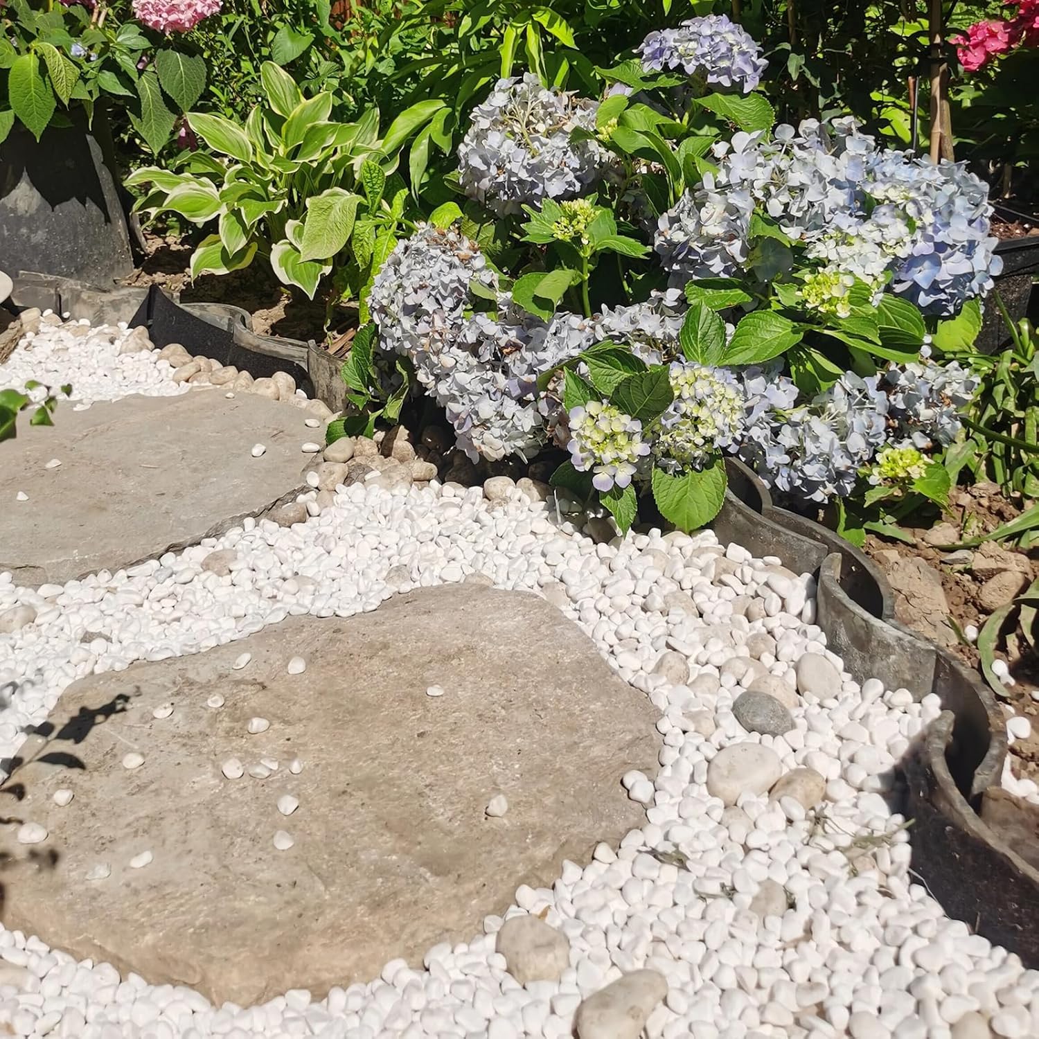 10 lbs White River Rocks for Garden, 0.5-1 Inch Pebbles for Indoor Plants, Decorative Stones for Landscaping, Succulent, Vases, Aquariums and Zen Garden