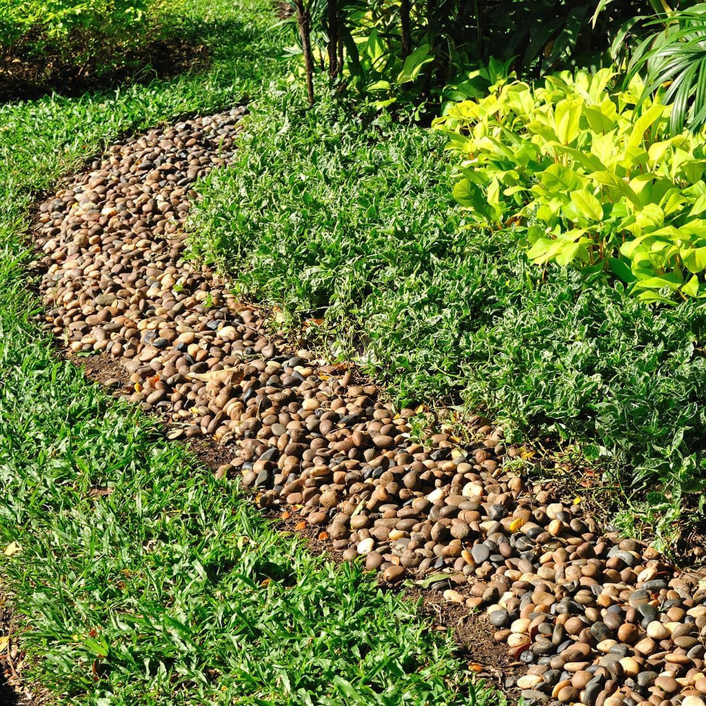 10lbs Aquarium Rocks, 5/8" Natural River Rocks for Plants Decorative Polished Mixed Pebbles for Fish Tank, Landscaping, Gardening, Flower Pots, Vase Fillers, Indoor Water Fountains