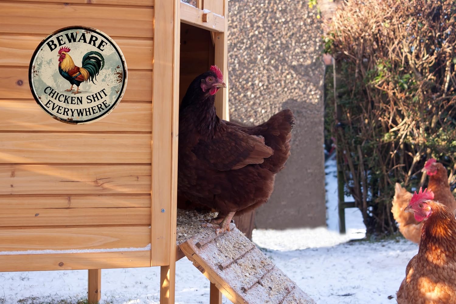 Chicken Decor Vintage Beware Chicken Shit Everywhere Rooster Wall Art Rustic Farmhouse Decor for Restaurants & Home Wall Mounted Vintage 8x8 In