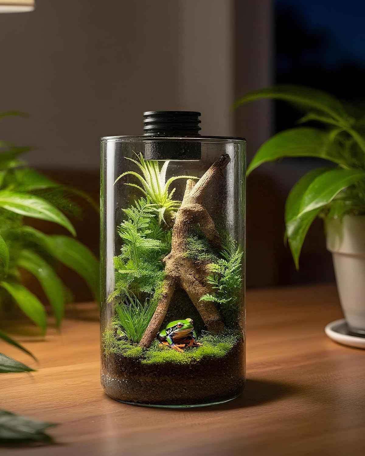Desktop Glass Terrarium with Grow Light (9.8" H x 5.9" D) - for Succulents, Moss, Mini Gardens, Betta Fish Tanks, Mushroom Cultivation | Indoor Plant Growth | Office/Home Decor | Plant Lover Gifts
