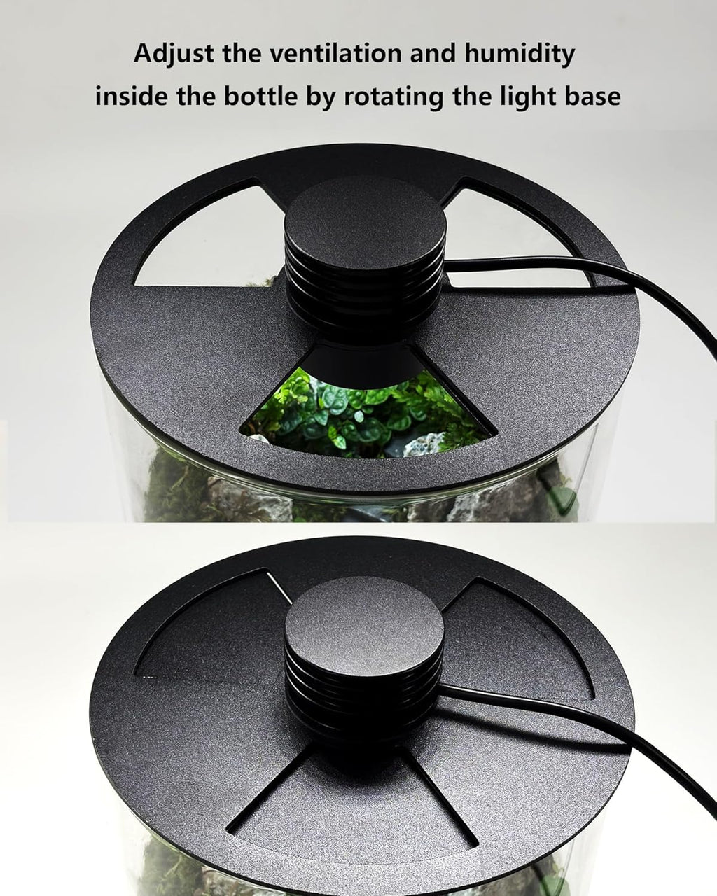 Desktop Glass Terrarium with Grow Light (7.5" H x 5.9" D) - for Succulents, Moss, Mini Gardens, Betta Fish Tanks, Mushroom Cultivation | Indoor Plant Growth | Office/Home Decor | Plant Lover Gifts