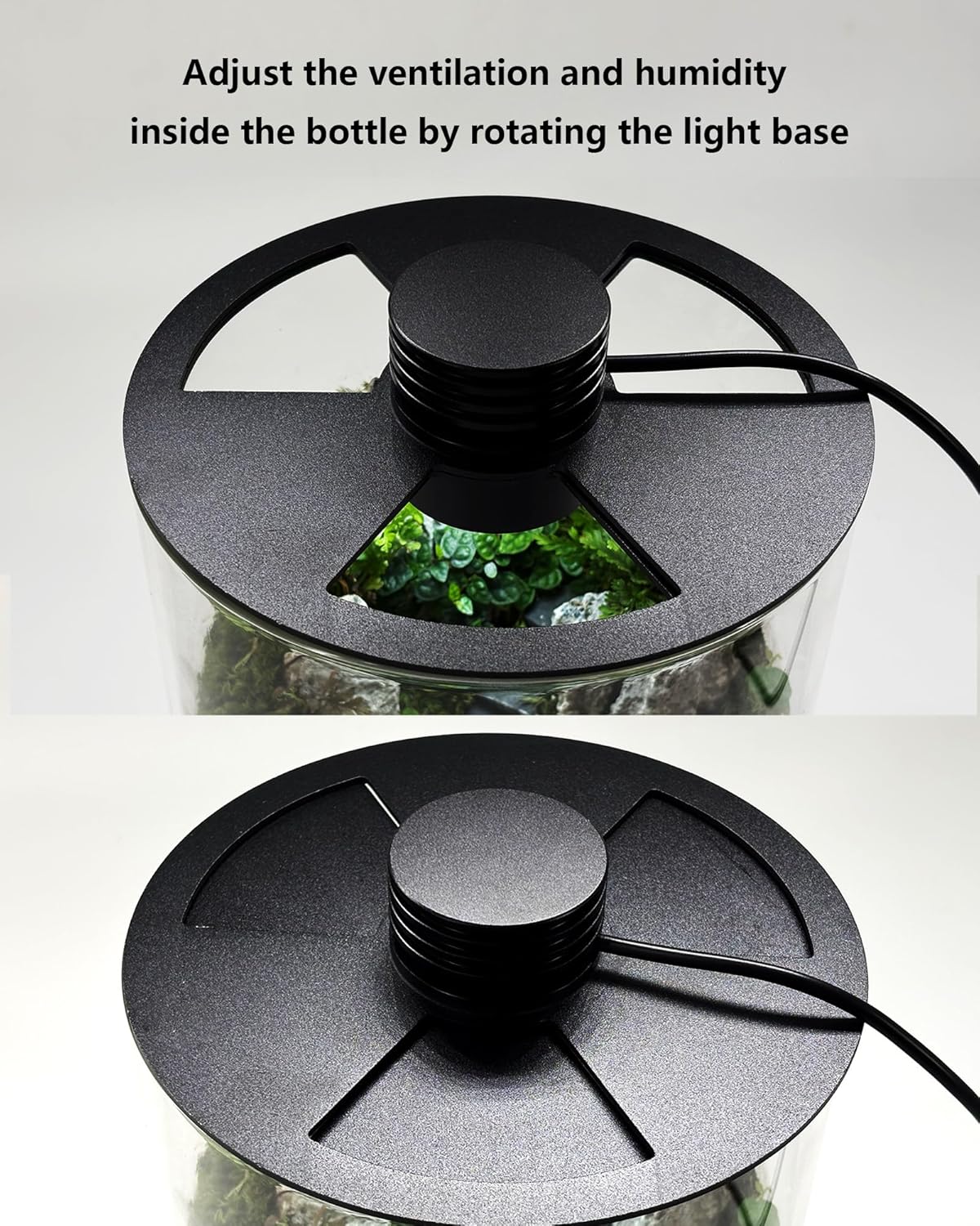 Desktop Glass Terrarium with Grow Light (9.8" H x 5.9" D) - for Succulents, Moss, Mini Gardens, Betta Fish Tanks, Mushroom Cultivation | Indoor Plant Growth | Office/Home Decor | Plant Lover Gifts