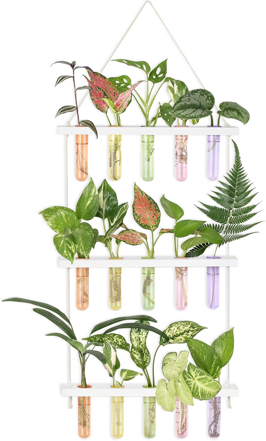 Mkono Plant Propagation Tubes, 3 Tiered Wall Hanging Terrarium with Wooden Stand Test Tube Flower Vase Glass Planter Stations Home Office Decor Plant Lover Gift, White
