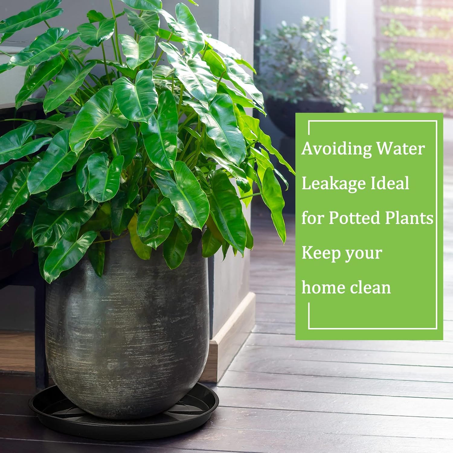 Eccliy 12 Pcs Plastic Plant Saucers Round Plant Tray Large Flower Pot Heavy Duty Planter Water Trays Thick Planter Drip Saucers for Indoors and Outdoors(18 Inch,Black)