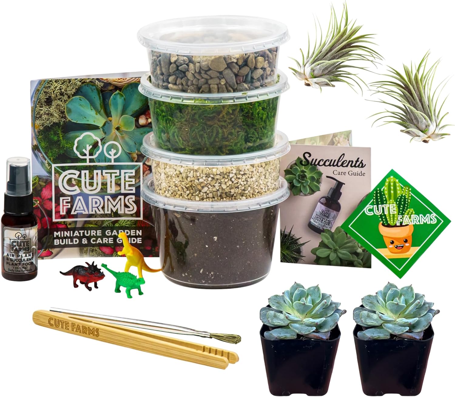 Cute Farms Terrarium Starter Kit | Moss, Vermiculite, Soil, Pebbles, Plant Food, & Finishing Tools (Medium Kit + Live Plants)