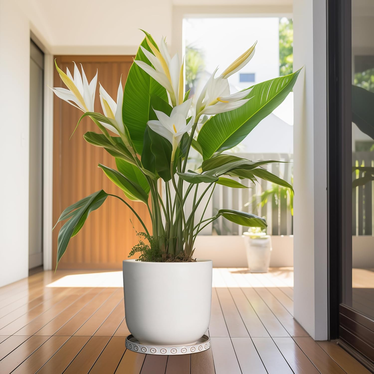 Plant Saucer for Indoors - Ceramic Plant Saucer for Outdoors 11.4 Inch Plant Water Catcher Tray Plant Pot Saucer Plant Drip Tray Drainage Large Plant Plates to Catch Water White