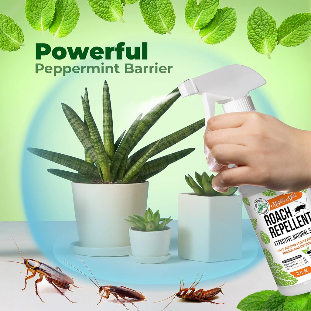 Mighty Mint Peppermint Oil Roach Repellent Spray – Natural Cockroach Killer for Indoor & Outdoor Use – Plant-Based Insect & Pest Control – 16 oz (Pack of 2)