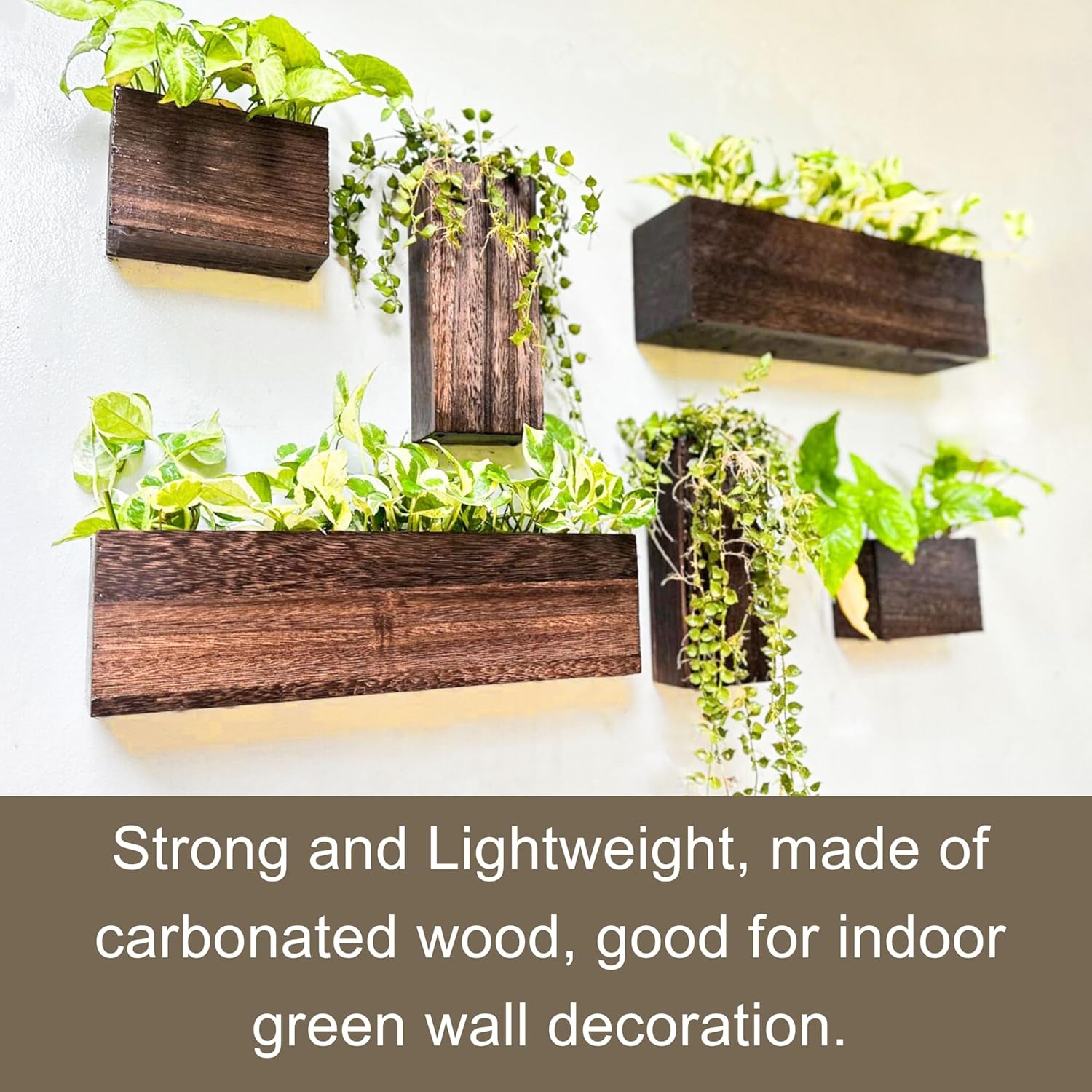 LaLaGreen Wood Planter Box for Plants (6 Pack) Wooden Hanging Wall Planters for Indoor Plant Holder Vase for Dried Flowers, Modern Farmhouse Wall Decor Living Room Bedroom Kitchen Office Home Garden