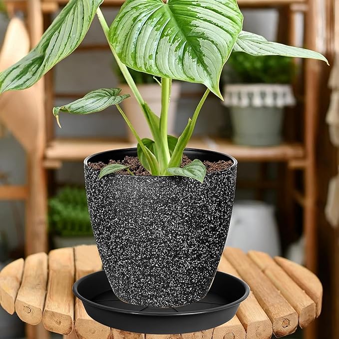 1 Pack of Plant Saucer Tray 8 inch, Heavy Duty Plastic Pot Plant Drip Trays Saucers for for Indoors Outdoor, Plant Water Tray for Planters (8", Black)