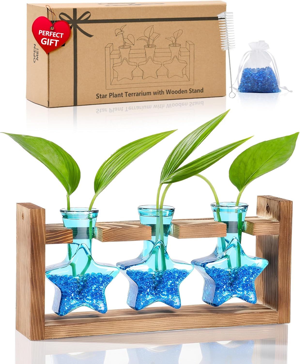 Nacome Plant Terrarium with Wooden Stand,Star-Shaped Planter Propagation Station Glass Vase for Home Office Decor- Unique Gifts for Plant Lovers Women Mom(Blue)